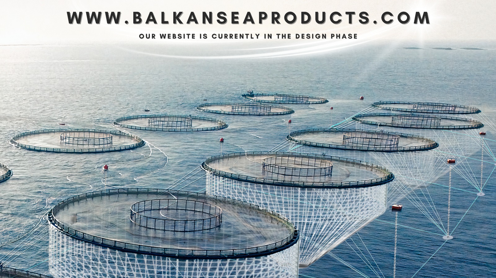 Merkezde ortalanmış örnek görsel